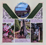 Peacock Scrapbooking Stencil 3- Photo Layout Example