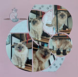 Decorative Stencil LF 5 Cats